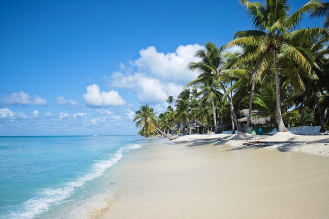 Saona Island Catamaran Cruise Experience (All Inclusive) - Time on Saona Island and beach-club access