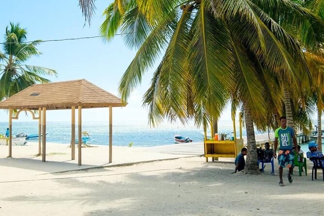 Saona Island Catamaran For Small Group Hotel Pick Food Drink - Saona Island beach time