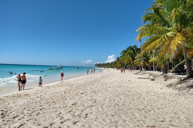 Saona Island Catamaran For Small Group Hotel Pick Food Drink - What the customer experiences suggest