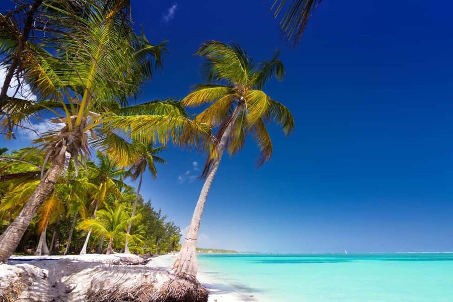Saona Island: Catamaran/Speedboat Tour to a Dream Beach - Returning to Bayahibe and your hotel