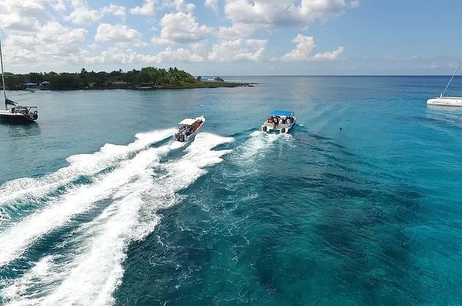 Saona Island Excursion by Catamaran and Speedboat - Lunch, rum, and the open bar