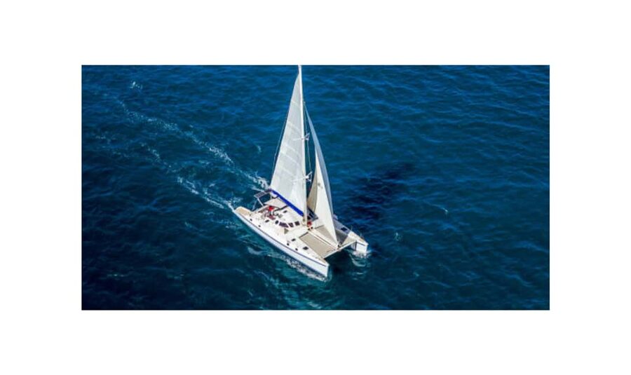 Saona Island From Santo Domingo With Catamaran, Food & Drink - Key points to know before booking