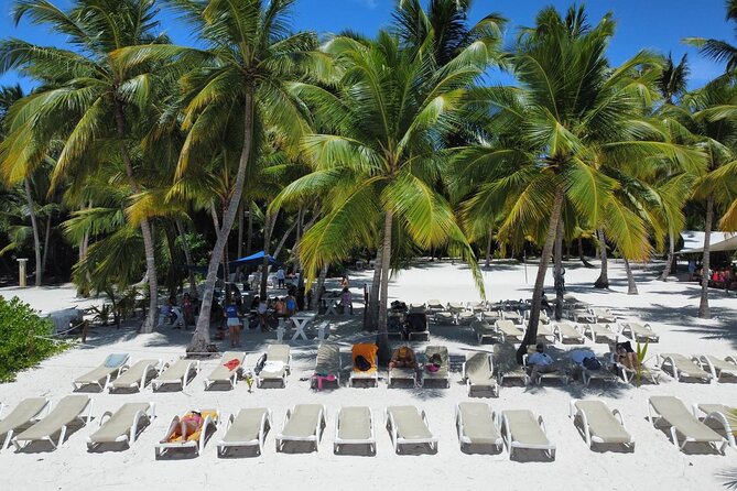 Saona Island: Full-day Catamaran Tour - Small Group - Five details that shape the day