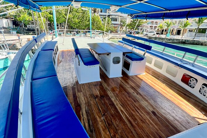 Saona Island: Full-day Catamaran Tour - Small Group - A beach lunch with local vacation logic