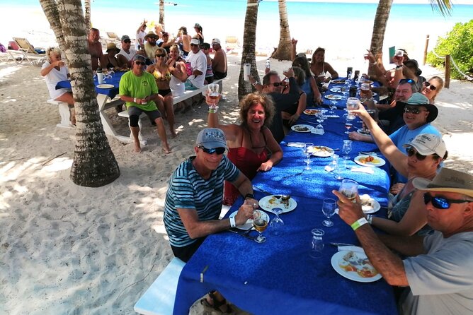 Saona Island: Full-day Catamaran Tour - Small Group - Who should book this trip?