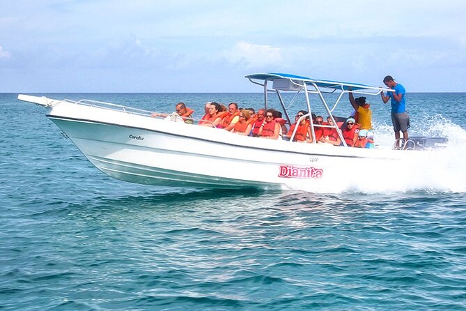 Saona Island Full Day Excursion from Punta Cana + Catamaran Party - The speedboat ride and natural pool stop