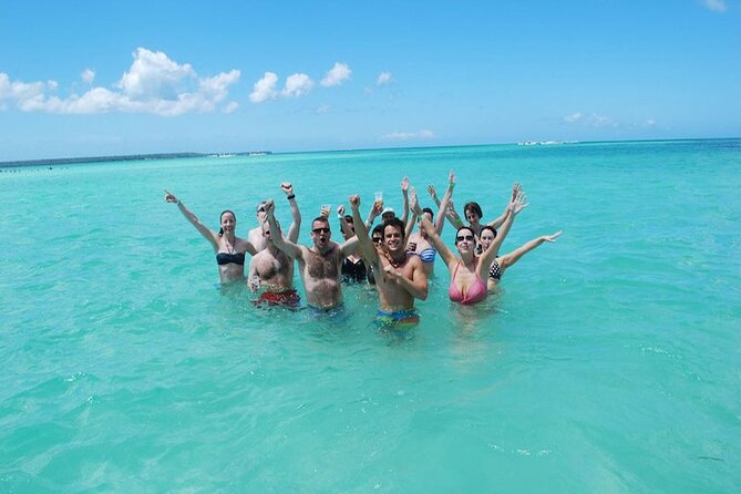 Saona Island Full Day Excursion from Punta Cana + Catamaran Party - Saona Island: palms, sand, and a crowded shore