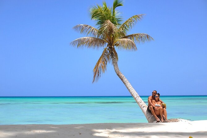 Saona Island Full Day Excursion from Punta Cana + Catamaran Party - The ride back to Punta Cana