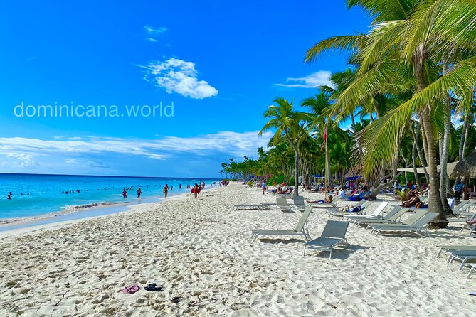 Saona Island, Natural pool Starfish, Fast boat, Catamaran +Dances - The fast boat to Saona takes about 40 minutes