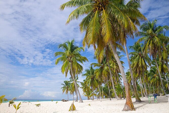 Saona Island Tour and Catamaran Party from Punta Cana - Who will enjoy this day most