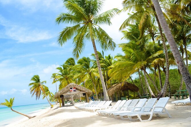 Saona Island Tour Catamaran Buffet Lunch & Full Day Trip - Why Saona makes a strong day trip from Punta Cana
