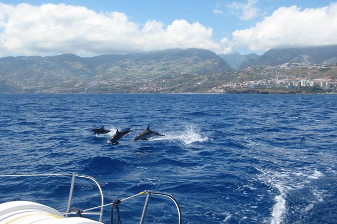 Seaborn Catamaran trips - Cabo Girao and Madeira’s Coastal Views