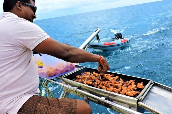 Set Sail on an All Inclusive Catamaran to Ile Aux Benitiers - Watching for dolphins on the way