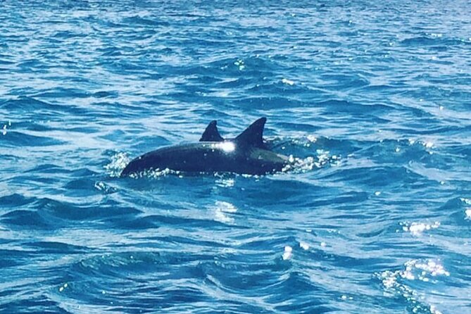 Set Sail on an All Inclusive Catamaran to Ile Aux Benitiers - Lunch, drinks, and the onboard atmosphere