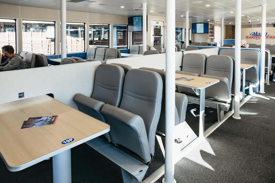 Seward: Kenai Fjords National Park Catamaran Cruise w/Lunch - Lunch, seating, and six hours aboard