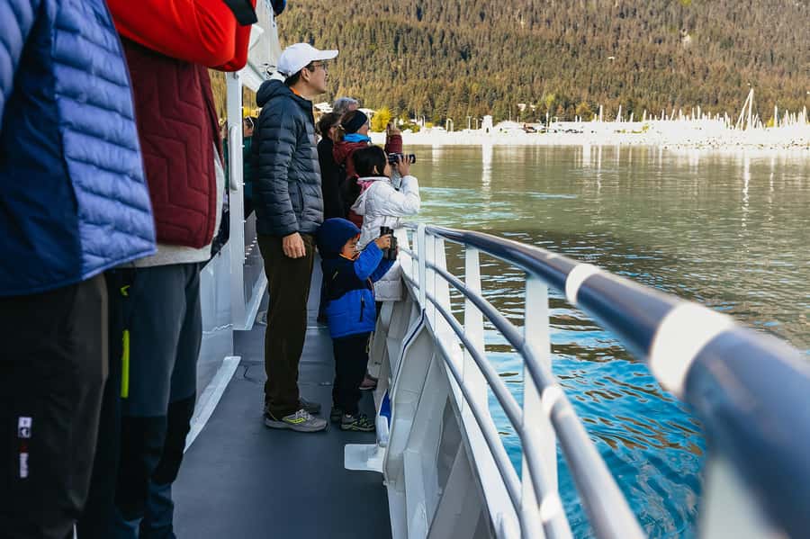 Seward: Kenai Fjords National Park Catamaran Cruise w/Lunch - What $265 buys you in practical terms