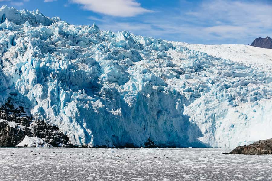 Seward: Kenai Fjords National Park Catamaran Cruise w/Lunch - Wildlife watching with Captain Laura and the crew
