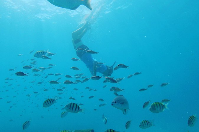 Shasa Catamaran Cruises Limited Numbers 3 Hour Sail and Snorkel - Weather and cancellation rules
