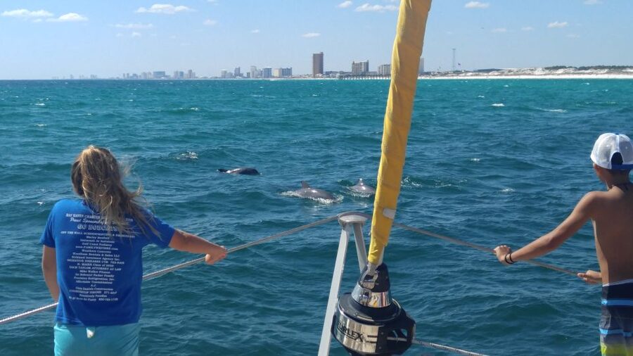 Shell Island: Adventure Tour on the Privateer Catamaran - The final hour: sailing and dolphin watching