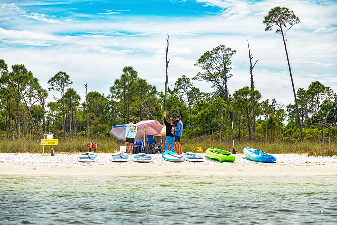 Shell Island Inflatable Adventure Park & Dolphin Sightseeing Tour - Shell Island’s inflatable water park