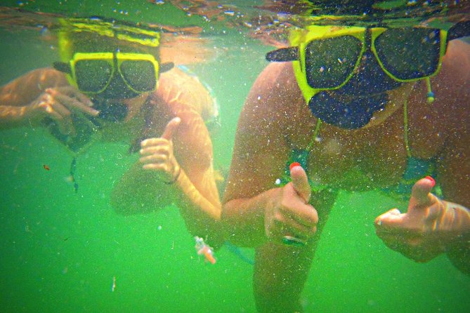 Shell Island Snorkel and Dolphin Catamaran Cruise with Island Time - Paddleboards, waterslide, and time in the water