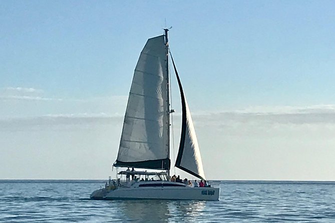 Sightseeing and Sunset Catamaran Sailing Excursion - Choosing between the daytime sail and sunset cruise