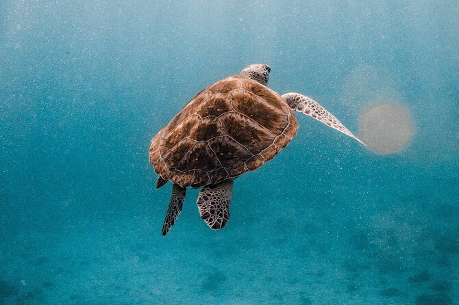 Similan Islands Luxury Catamaran Day Tour (Phuket / Khao Lak) - Who will enjoy this trip most