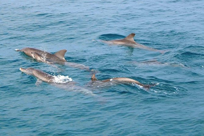 Similan Islands Snorkeling Tour By Speed Catamaran From Khao Lak - West of Eden and Island No. 7