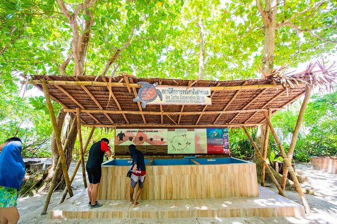 Similan Islands Snorkeling Tour By Speed Catamaran From Phuket - Why the itinerary may feel rushed