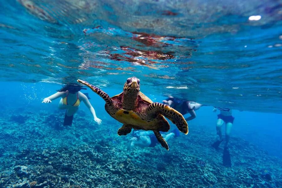 Sister, Coco, and Felicite Island: Seychelles Catamaran Tour - Key details before you book