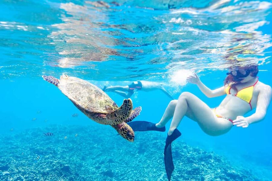Sister, Coco, and Felicite Island: Seychelles Catamaran Tour - Final verdict: a strong full-day choice