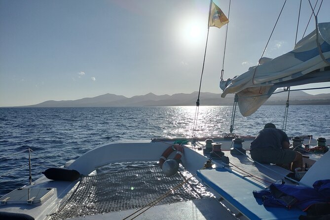 Small Group Dolphin Sunset Tour on Electric Catamaran Lanzarote - Why the small group makes a difference