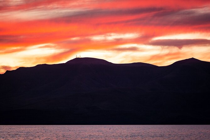 Small Group Dolphin Sunset Tour on Electric Catamaran Lanzarote - Drinks, snacks, and the practical comfort level