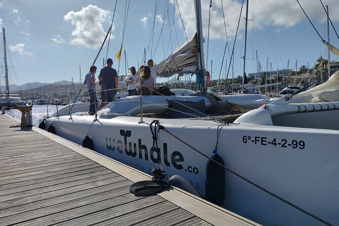 Small Group Dolphin Sunset Tour on Electric Catamaran Lanzarote - Is $90.70 a fair price?