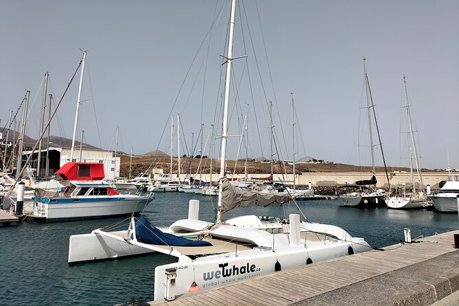 Small Group Dolphin Sunset Tour on Electric Catamaran Lanzarote - Who will enjoy this Lanzarote boat trip most?
