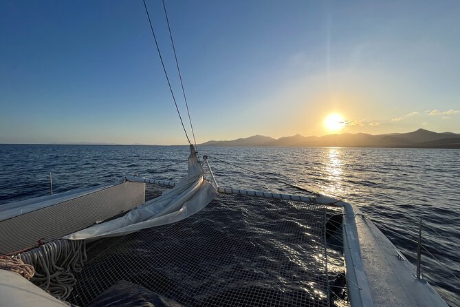 Small Group Dolphin Sunset Tour on Electric Catamaran Lanzarote - Seven useful questions before you book