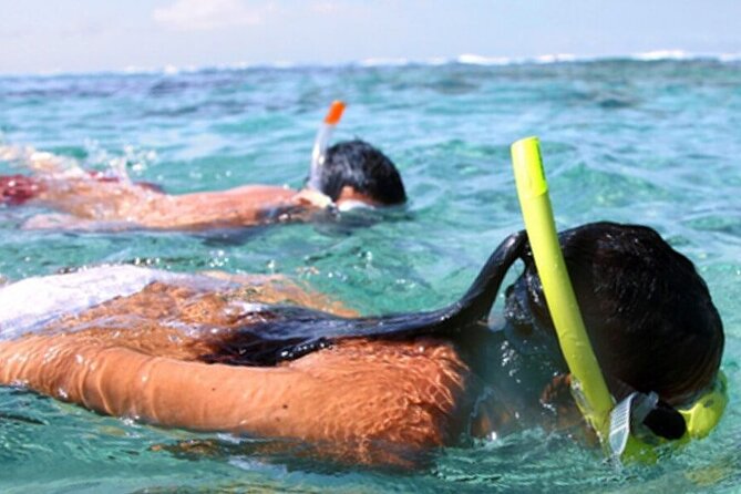 Snorkel & Dolphin Sightseeing Tour Aboard the Footloose - Is $50 a good deal?