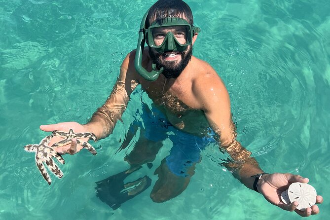 Snorkel & Dolphin Sightseeing Tour Aboard the Footloose - Who will enjoy this most?