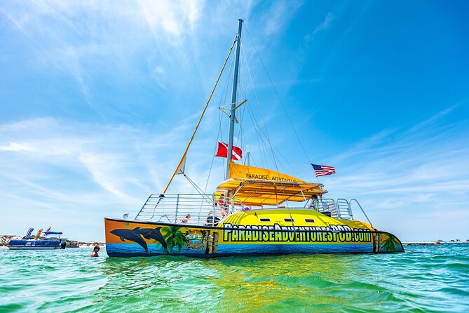 Snorkel & Dolphin Sightseeing Tour Aboard the Footloose - The dolphin search is exciting, but never guaranteed