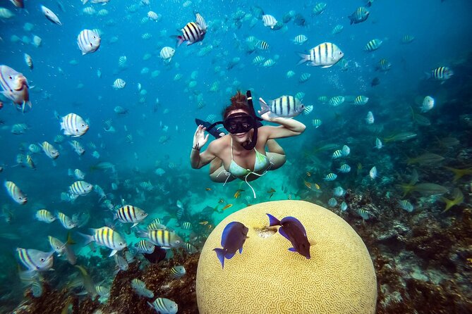 Snorkeling and Swimming on a Caribbean Cruise by Sharky Catamarans - The floating food truck and seafood lunch