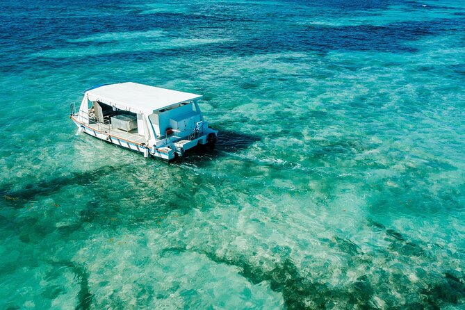 Snorkeling and Swimming on a Caribbean Cruise by Sharky Catamarans - Who will enjoy this catamaran cruise most