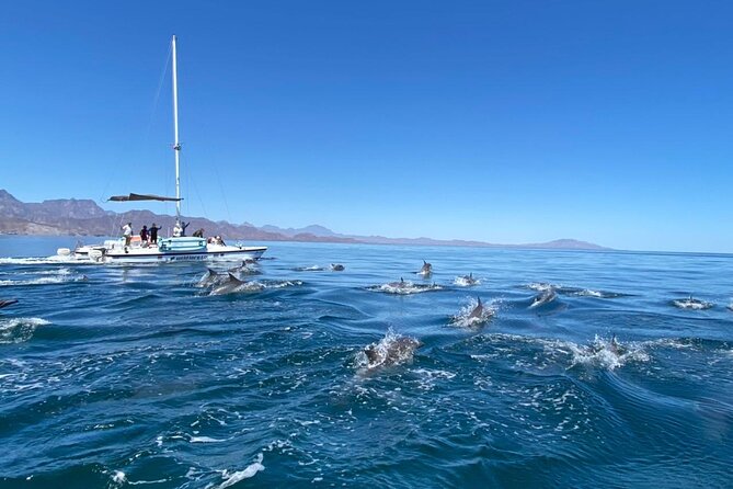 Snorkeling Catamaran Island Cruise - Arriving at Loreto’s island waters