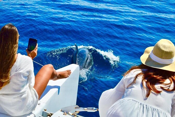 Snorkeling Catamaran Tour at Santa Maria Bay - Leaving Cabo Marina for the Pacific Views
