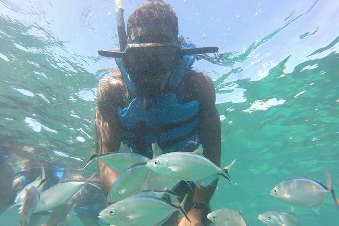 Snorkeling Catamaran Tour & Parasailing - Key details before you book
