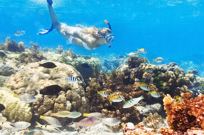 Snuba Snorkelking Parasailing and Catamaran Pack - Snorkeling, swimming, and time on the catamaran