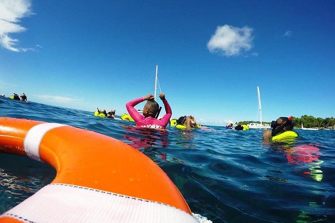 Sosua Catamaran Excursion - Two Reefs, Two Different Snorkeling Stops