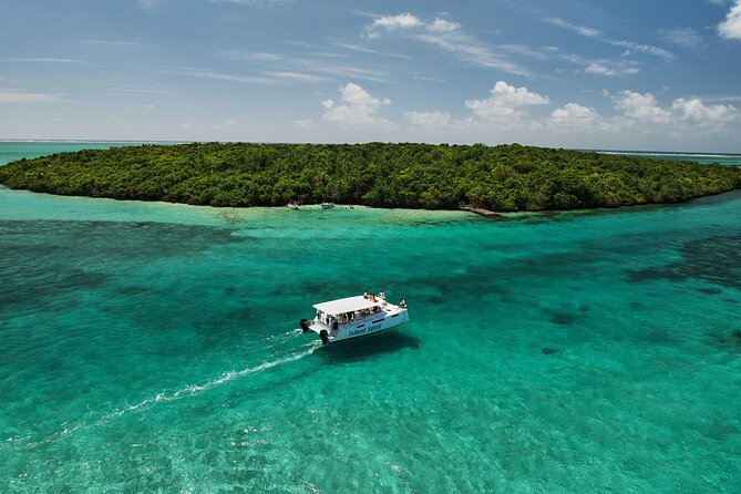 SouthEast Lagoon Discovery on shared basis on a Power Catamaran - Pointe Jerome to the southeast lagoon