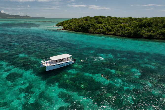 SouthEast Lagoon Discovery on shared basis on a Power Catamaran - Wildlife sightings are a bonus, not the plan