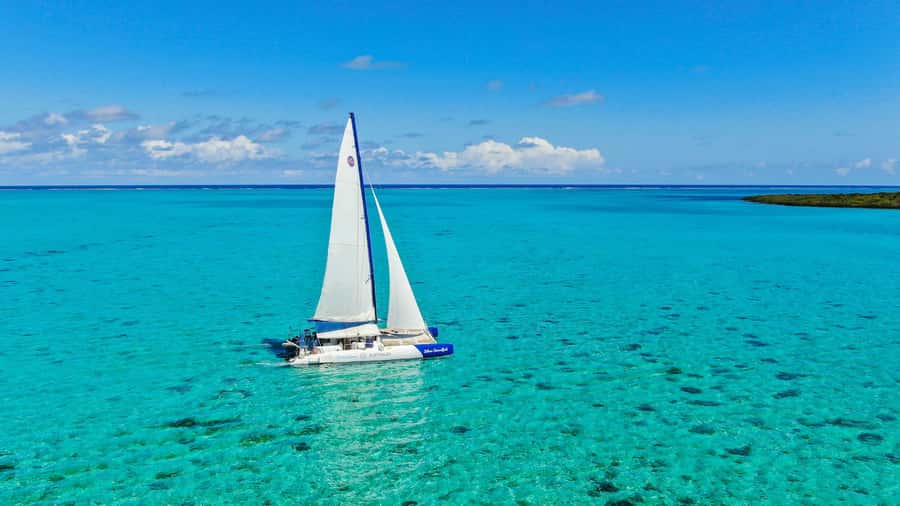 Southeast of Mauritius: Catamaran Cruise w/ BBQ Lunch - Ile de La Passe and Ile au Phare