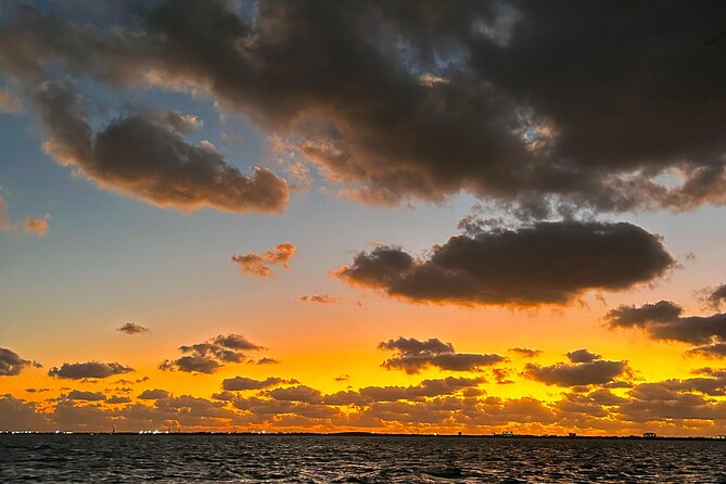 Stingray City Catamaran Sunset Tour - What happens at the sandbar